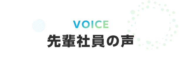 先輩社員の声