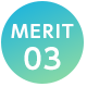 MERIT 03