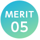 MERIT 05