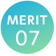 MERIT 07